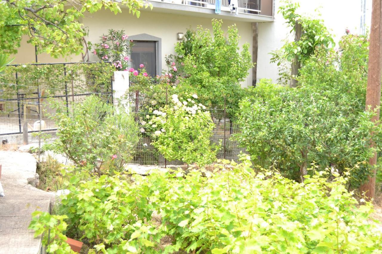 Lazatka Flat In Capital Chora Διαμέρισμα Σαμοθράκη Εξωτερικό φωτογραφία
